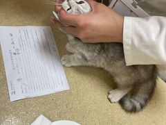 -艾贝尔宠物医院·狂犬免疫点(江山金象城店)