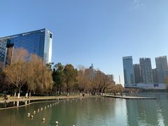 -天鹅湖体育公园