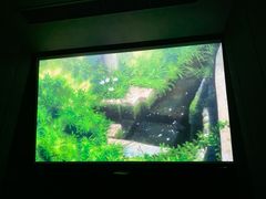 -J·cinema·极光点播影院·杜比影厅(合生汇首创店)