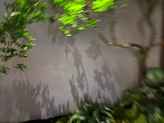 -唐宫足道·SPA·住宿24H会所(木渎店)