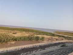 -春花秋色城市公园