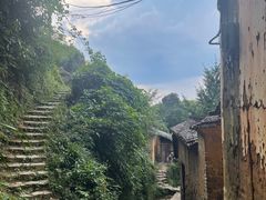 -杨家堂村
