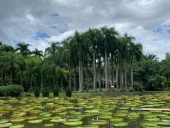 -中国科学院西双版纳热带植物园