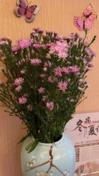 -永琪美容美发