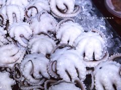 -铭聚章鱼土笋冻(松柏店)