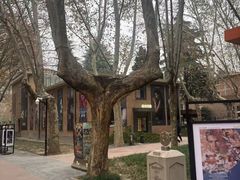 -西安电影制片厂