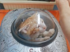 -创凡宠物医院·骨专科  猫科中心(西乡分院)
