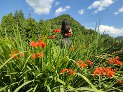 -贵阳市花溪国家城市湿地公园