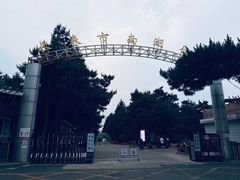 -长春市南湖公园