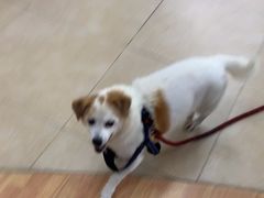 -宠福鑫动物医院·动物疾病诊疗中心(天通苑店)