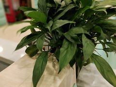 -刁四麻辣烫(裕华店)