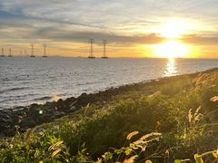 -宝安西湾红树林湿地公园