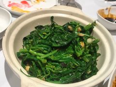 -眉州东坡·熊猫主题餐厅(枫蓝店)