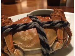 -嘉定凯悦·咖啡厅