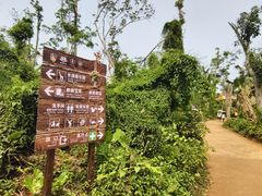 -海南热带野生动植物园