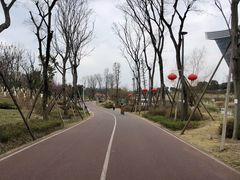 -桂溪生态公园