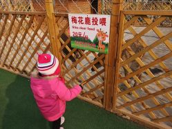 -萌宠亲子动物乐园(槐房万达店)