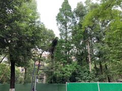 -四川大学(望江校区)