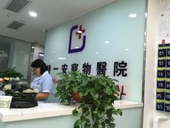 -特一安24小时宠物医院·骨科·中兽医