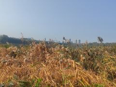 -长春市南湖公园