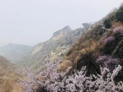 -少华山国家森林公园
