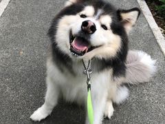 -大国药妆(NEW心斎橋店)