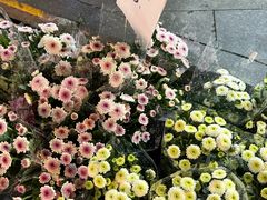 -循礼门鲜花花市(武汉循礼门店)