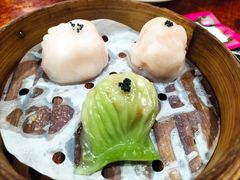 滨江三色虾饺皇-新榕记滨江壹號