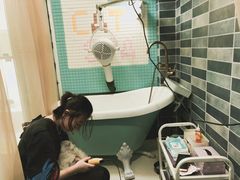 -十年猫舍·猫咪专门店(普陀店)