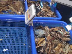 水产区-盒马鲜生(联投广场店)