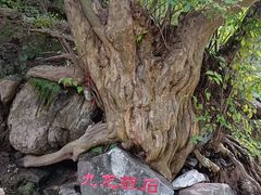 -孤山寨风景区