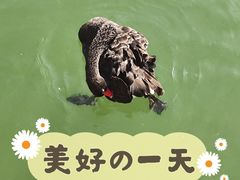 -颐和园