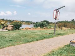 -呈贡滇池生态湿地公园