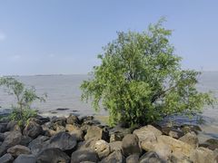 -上海吴淞炮台湾国家湿地公园