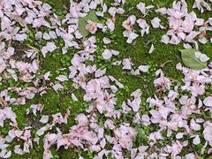 -苏州河梦清园环保主题公园