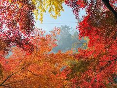 -狼山风景名胜区