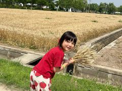 -嘉北郊野公园