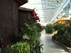 -森谷美食公园(杨行店)