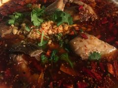 水煮耗儿鱼-罗妈砂锅(四川成都奎星楼店)