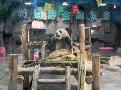 -栾川竹海野生动物园