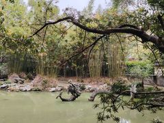 -汇龙潭