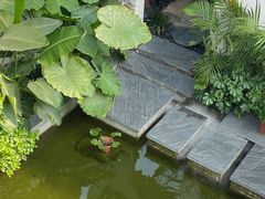 -漫笙舍Manse·咖啡·民宿