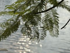 -重庆彩云湖湿地公园