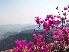 -沂蒙山旅游区龟蒙景区