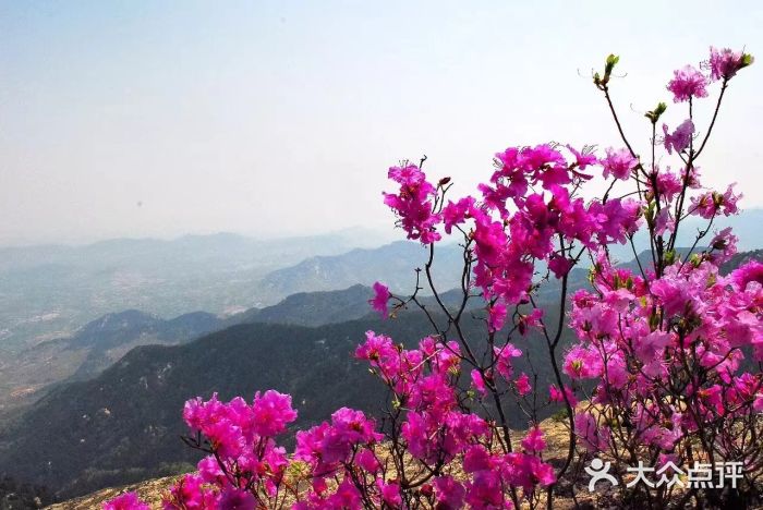 沂蒙山旅游区龟蒙景区图片