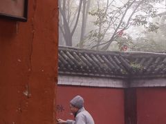-少华山国家森林公园