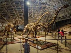 -世界恐龙谷景区