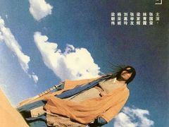 -华谊兄弟影院(IMAX洋桥店)