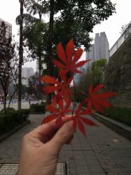 -蕾特恩专业祛痘·皮肤管理