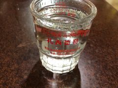 青稞酒-银同牦牛肉火锅